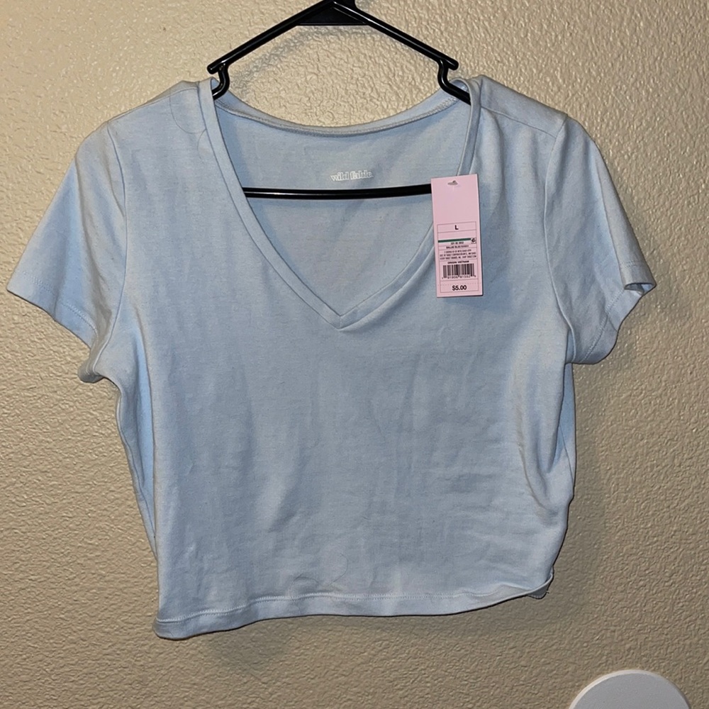 Wild Fable (Target) NWT large v-neck blue crop top
